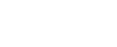 AIG Information Technology logo